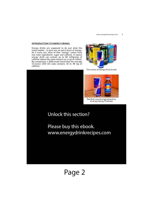 Technical Ingredients of Red Bull Energy Drink 2